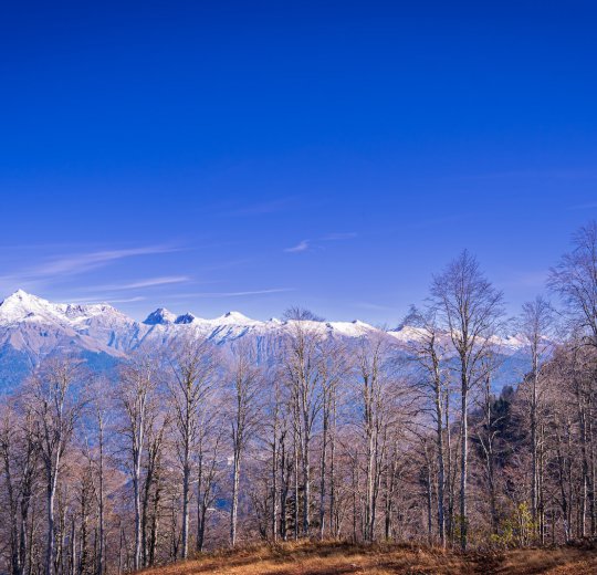 Туры в Красную Поляну 2025 - цены на путевки в Россию из Москвы от туроператора Coral Travel