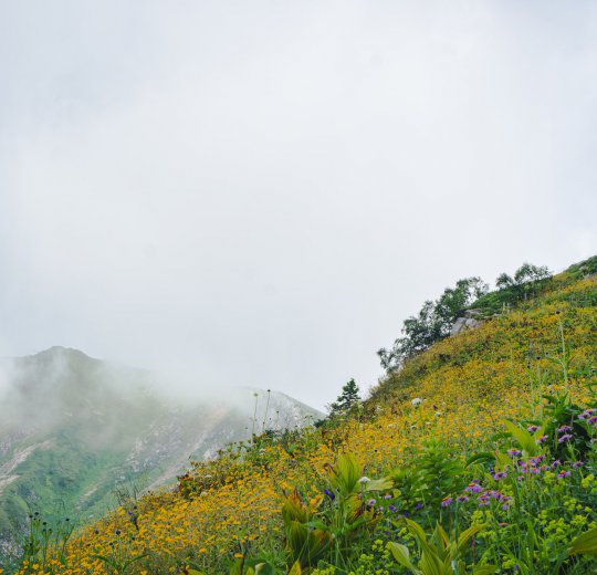 Туры в Красную Поляну 2025 - цены на путевки в Россию из Москвы от туроператора Coral Travel