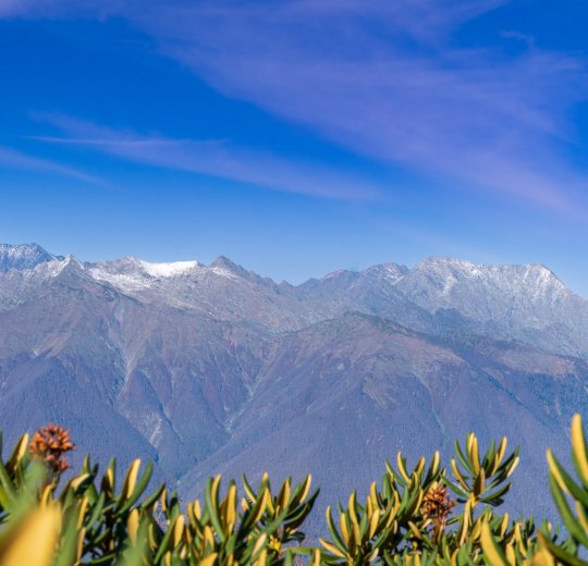 Туры в Красную Поляну 2025 - цены на путевки в Россию из Москвы от туроператора Coral Travel