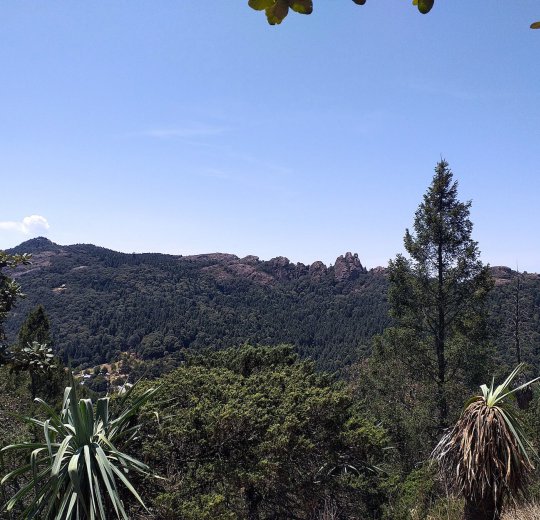 Туры в Миниральные воды 2025 - цены на путевки в Россию из Москвы от туроператора Coral Travel