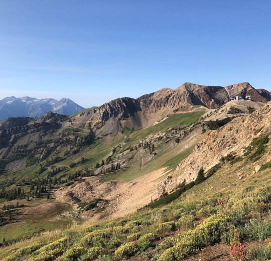 Туры в Миниральные воды 2025 - цены на путевки в Россию из Москвы от туроператора Coral Travel