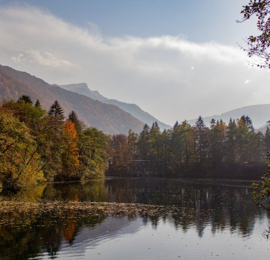 Туры в Миниральные воды 2025 - цены на путевки в Россию из Москвы от туроператора Coral Travel