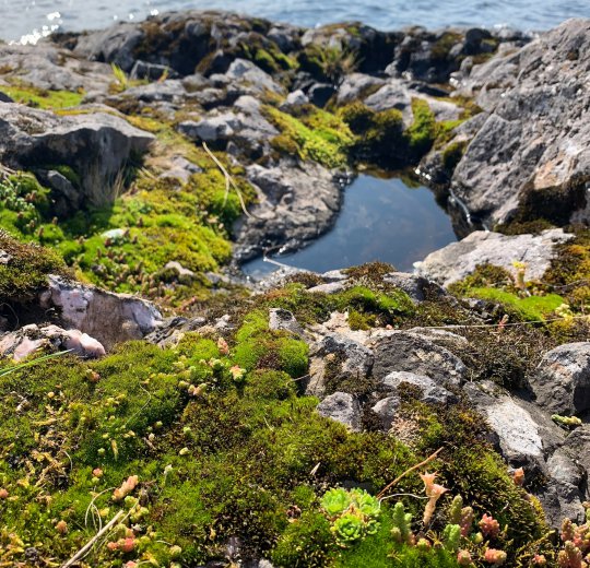 Туры в Петрозаводск 2025 - цены на путевки в Россию из Москвы от туроператора Coral Travel