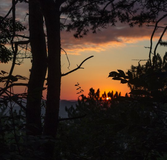 Туры в Пятигорск 2025 - цены на путевки в Россию из Москвы от туроператора Coral Travel