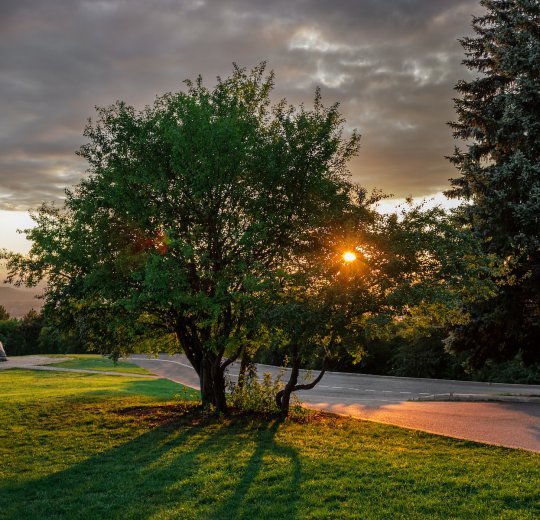 Туры в Пятигорск 2025 - цены на путевки в Россию из Москвы от туроператора Coral Travel