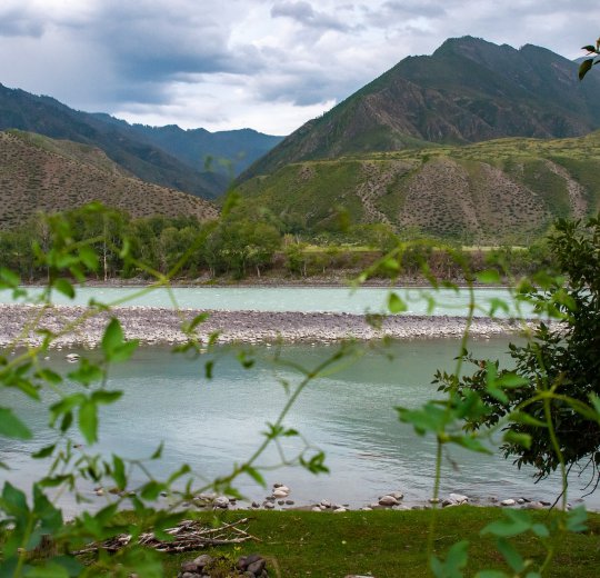 Туры в Краснодарский край 2025 - цены на путевки в Россию из Москвы от туроператора Coral Travel