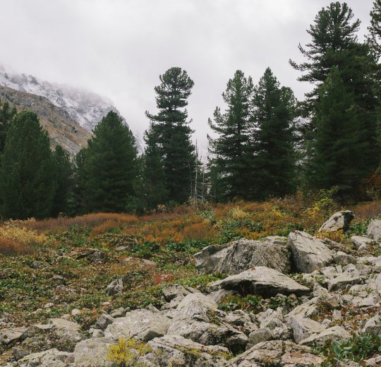 Туры в Краснодарский край 2025 - цены на путевки в Россию из Москвы от туроператора Coral Travel