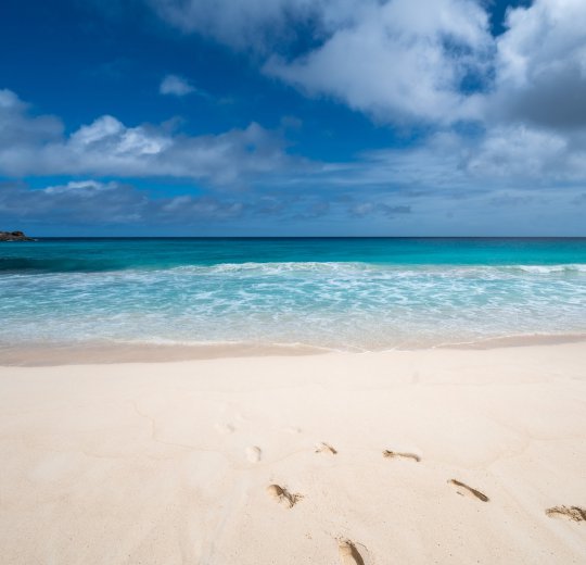 Туры на о. Силуэт 2025 - цены на путевки на Сейшелы из Москвы от туроператора Coral Travel