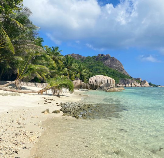 Туры на о. Ла Диг 2025 - цены на путевки на Сейшелы из Москвы от туроператора Coral Travel