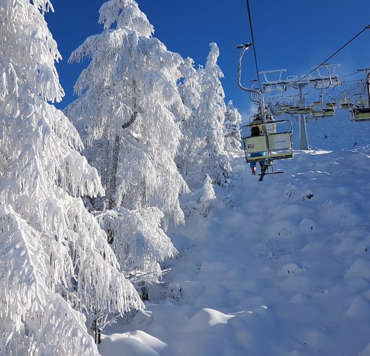 Туры в Моравске Топлице 2025 - цены на путевки в Словению из Москвы от туроператора Coral Travel