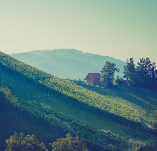 Туры в Моравске Топлице 2025 - цены на путевки в Словению из Москвы от туроператора Coral Travel