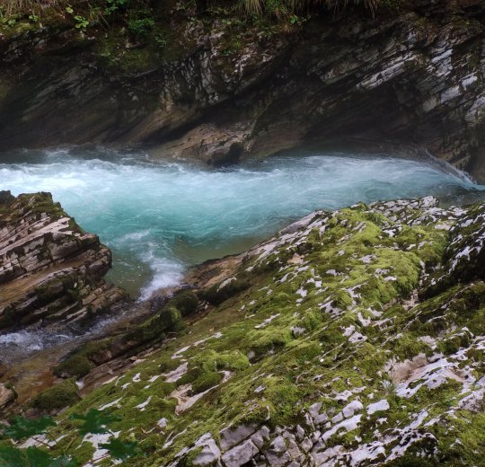 Туры в Струньян 2025 - цены на путевки в Словению из Москвы от туроператора Coral Travel