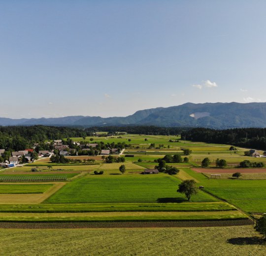 Туры в Струньян 2025 - цены на путевки в Словению из Москвы от туроператора Coral Travel