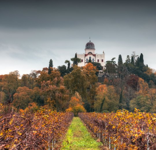 Туры в Терме Чатеж 2025 - цены на путевки в Словению из Москвы от туроператора Coral Travel