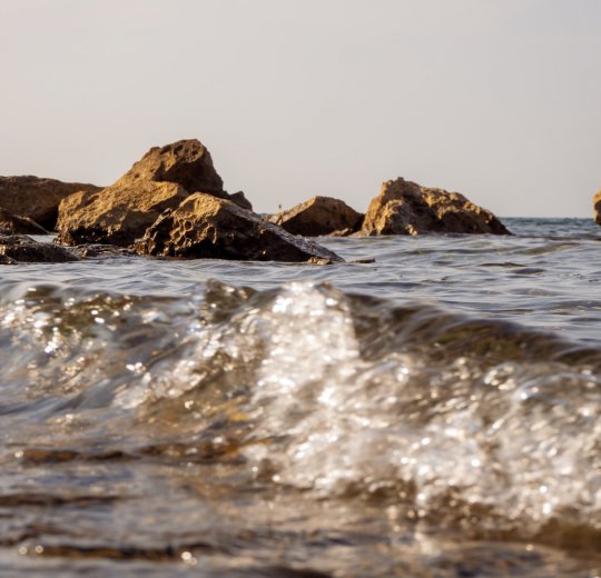 Туры в Порторож 2025 - цены на путевки в Словению из Москвы от туроператора Coral Travel