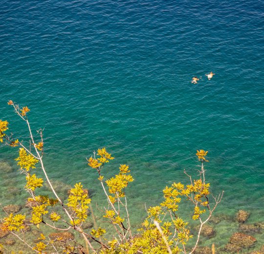 Туры в Порторож 2025 - цены на путевки в Словению из Москвы от туроператора Coral Travel