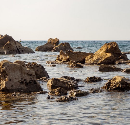 Туры в Порторож 2025 - цены на путевки в Словению из Москвы от туроператора Coral Travel