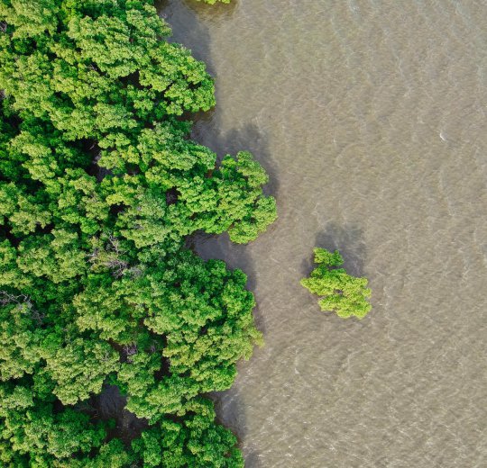 Туры на о. Чанг 2025 - цены на путевки в Таиланд из Москвы от туроператора Coral Travel