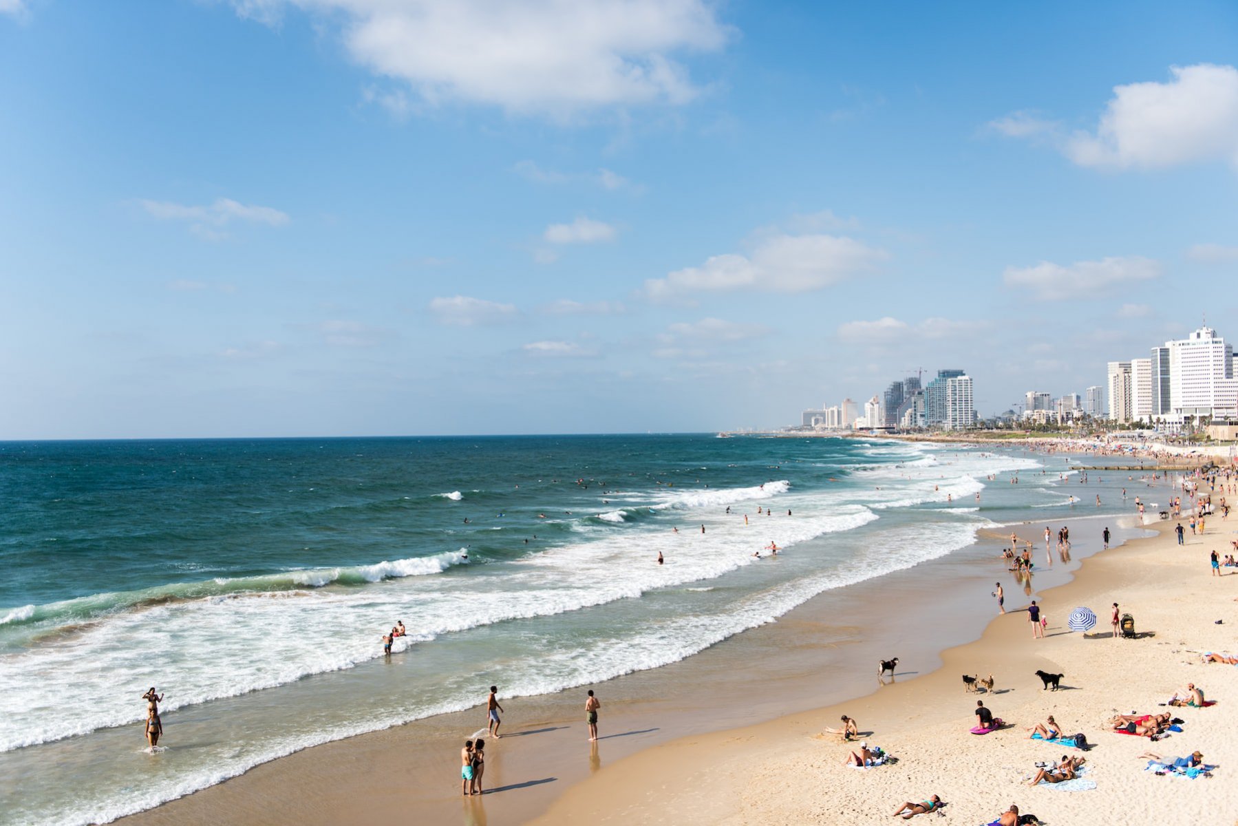 Ришон Ле Цион пляж. Тель Авив пляж. Средиземное море Тель-Авив. Цены в тель авиве